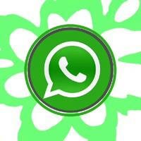 🔰Directorio de WhatsApp 💬