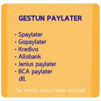 Gestun Spaylater & all paylater