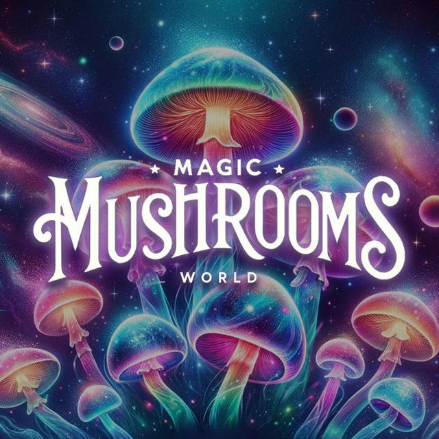Мир волшебных грибов