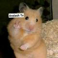 Aralash Tv