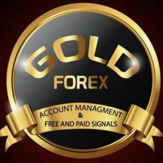 Gold Forex Team™