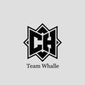Team | Whalle
