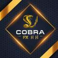 COBRA/FX-HH