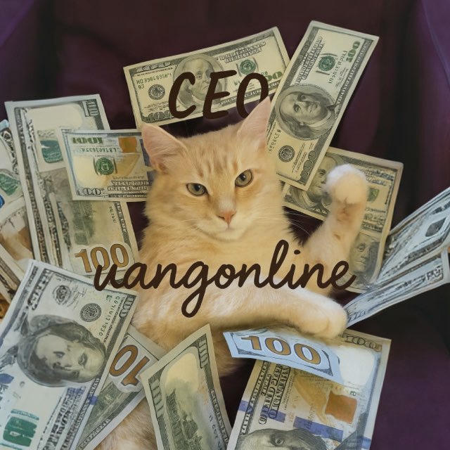 CEO uangonline