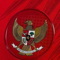 Timnas Indonesia Enthusiast | Live Streaming EURO 2024 - Copa Amerika 2024 - Piala AFF / ASEAN Cup U16 📌 Kacamata Garuda 🦅🇲🇨