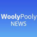 Новости WoolyPooly