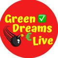 GreenDreams & LIVE 🧨🚀