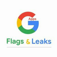 GApps Flags & Leaks