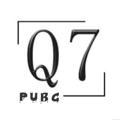 Q7 لبيع حسابات PUBG