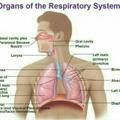 نقرأ لنرتقي في الطب