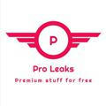 Pro Leaks (Premium Courses for free)