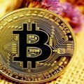 BITCOIN MONEY MAKER