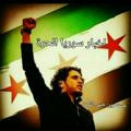 أخبار سوريا الحرة