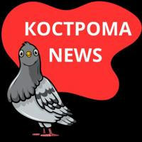 Кострома_NEWS