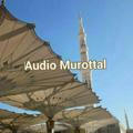 Audio murottal