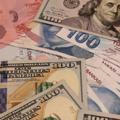 سعر صرف الدولار والليرة التركية