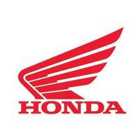 HONDA Cambodia - NCX Career