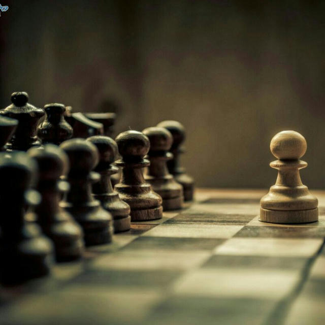 هیات شطرنج آمل