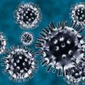 Coronavirus News Italia 🇮🇹