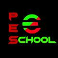 PES SCHOOL