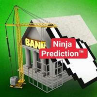 NINJA PREDICTION™