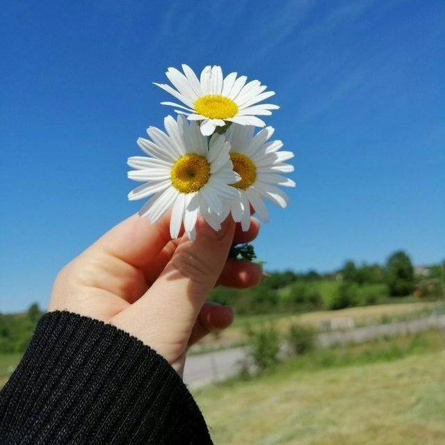 🦋⃟❀֟፝֟፝͜͜͡͡͡🌼 Positividade & Equilíbrio 🦋⃟❀֟፝֟፝͜͜͡͡͡🌼