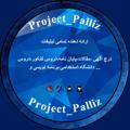 Project_paliz