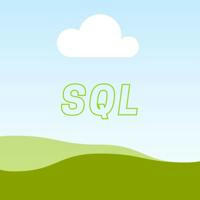Senior SQL Developer
