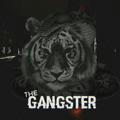 THE GANGSTER