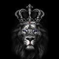 👑 KING FIXER 👑