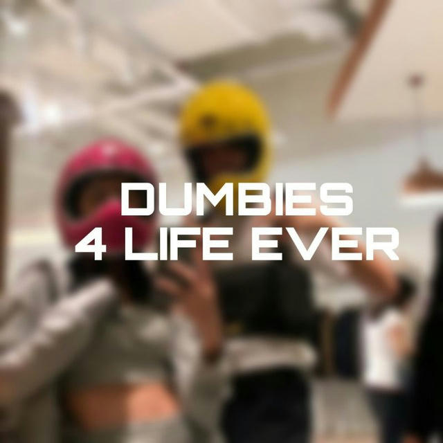 ࣪ 𓈒 ୭ dumbies 👫💡