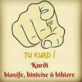 Kurdish & English