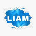 LIAM PAYMENT PROOF
