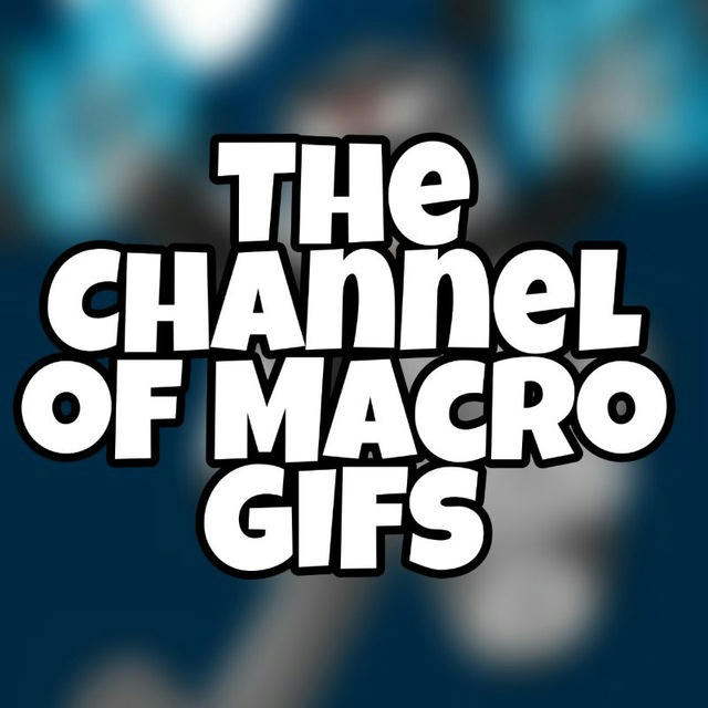 The Channel of Macro GIFs and Vids