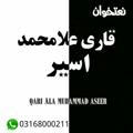 قاري علامحمداسير