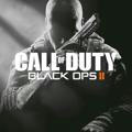 Call of Duty Black ops 2 (Plutonium)
