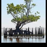 Mangrove Blockchain