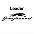 Leader Greyhound