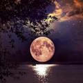 ليل وقمر ☄