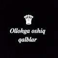 🕋Ollohga oshiq qalblar🕋