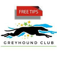 Greyhound Club Tips Free