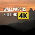 Wallpapers 4K