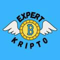 Expert Kripto
