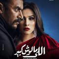 مسلسل اللي مالوش كبير