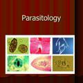 Parasitology 🦟