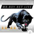 💰💰Ms.Boy Bet live 💰💰