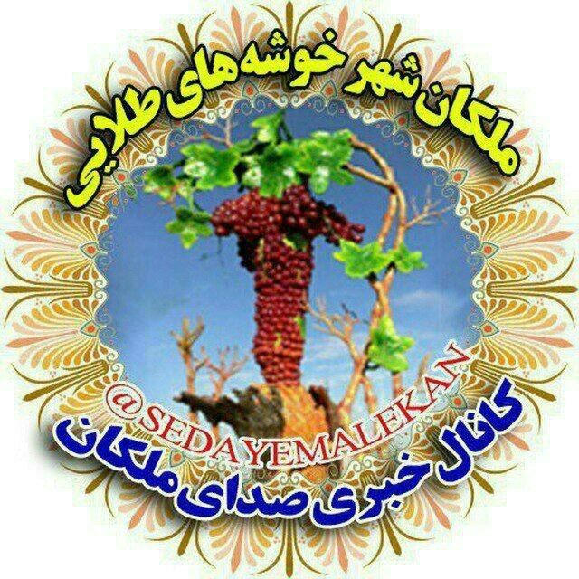 صدای ملکان🍇ملکان سَسی🍇