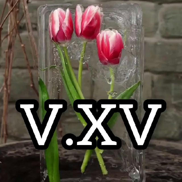 V.XV