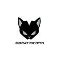 Big Cat Crypto Channel