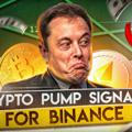 Binance trading signals and crypto pump